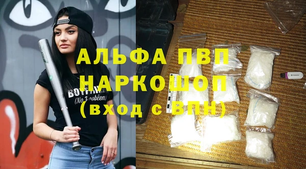 сатива Горняк