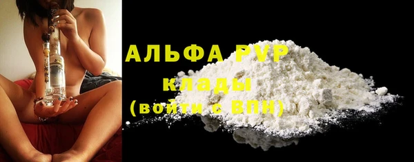 сатива Горняк