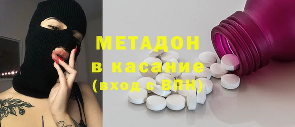 сатива Горняк