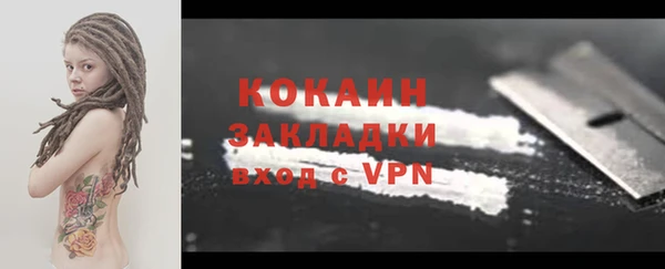 сатива Горняк