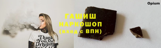 сатива Горняк