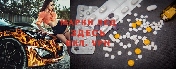 сатива Горняк