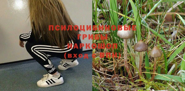 альфа пвп Горнозаводск