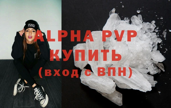 сатива Горняк
