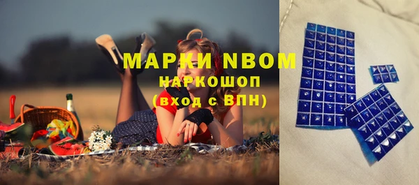 сатива Горняк